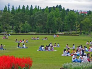 親子でピクニック♪(^^♪ 東北の芝生がある広場スポット！